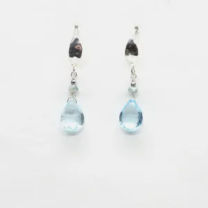 Aquamarine Monarch Earrings