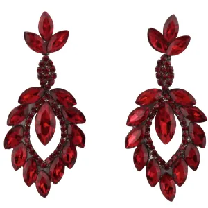 Chic Dangle Earrings