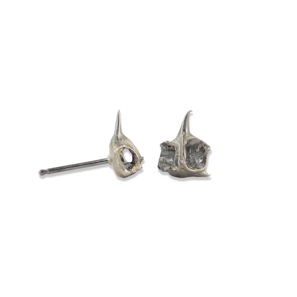 Ocean Inspired, Crab Shell Hera Oxidized Silver Stud Earrings